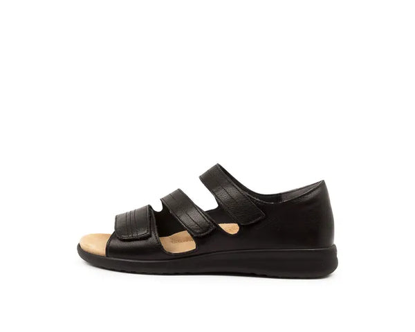 Ziera ~ Bardot ~ Black Black ~ Tan White Sole